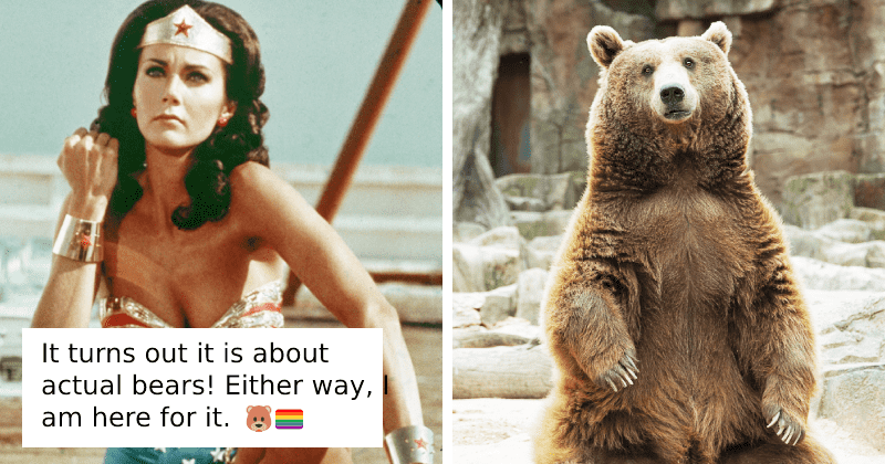 Fat Hairy Gay Bears Fat Hairy Gay Bears